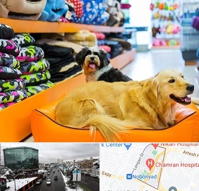 پت شاپ عمده در اقدسیه 