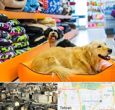 پت شاپ عمده در مرزداران 