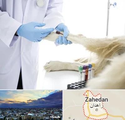 آزمایشگاه حیوانات در زاهدان