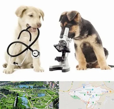 آزمایشگاه دامپزشکی در بجنورد