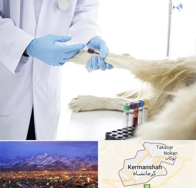 آزمایشگاه حیوانات در کرمانشاه
