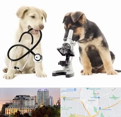 آزمایشگاه دامپزشکی در فرشته 