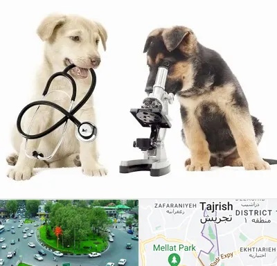 آزمایشگاه دامپزشکی در تجریش 