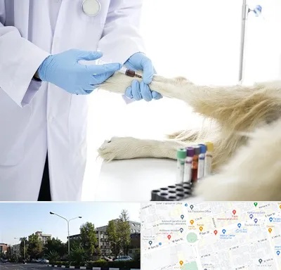 آزمایشگاه حیوانات در میدان کاج 